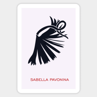 Sabella pavonina Sticker